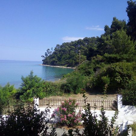 Sea & Forest Kallithea  Luaran gambar