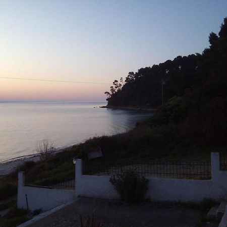 Sea & Forest Kallithea  Luaran gambar