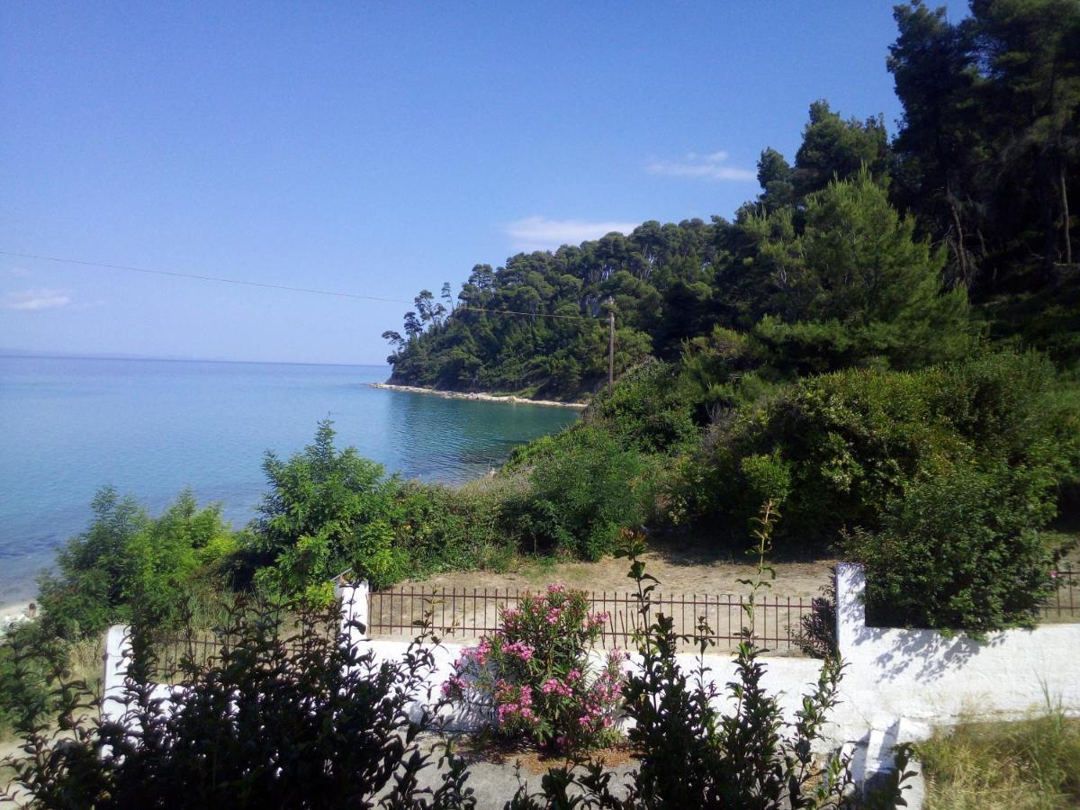 Sea & Forest Kallithea  Luaran gambar