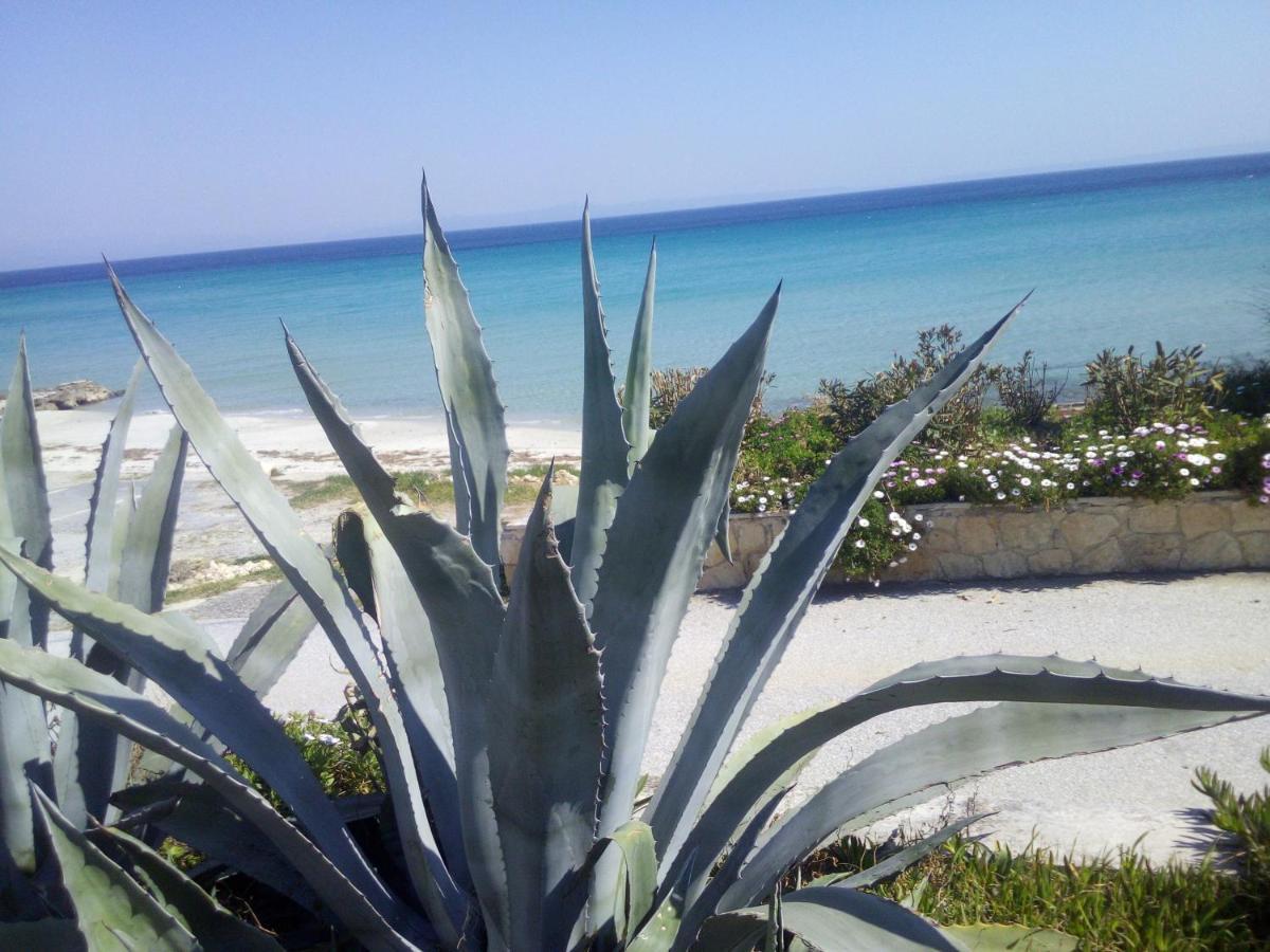 Sea & Forest Kallithea  Luaran gambar