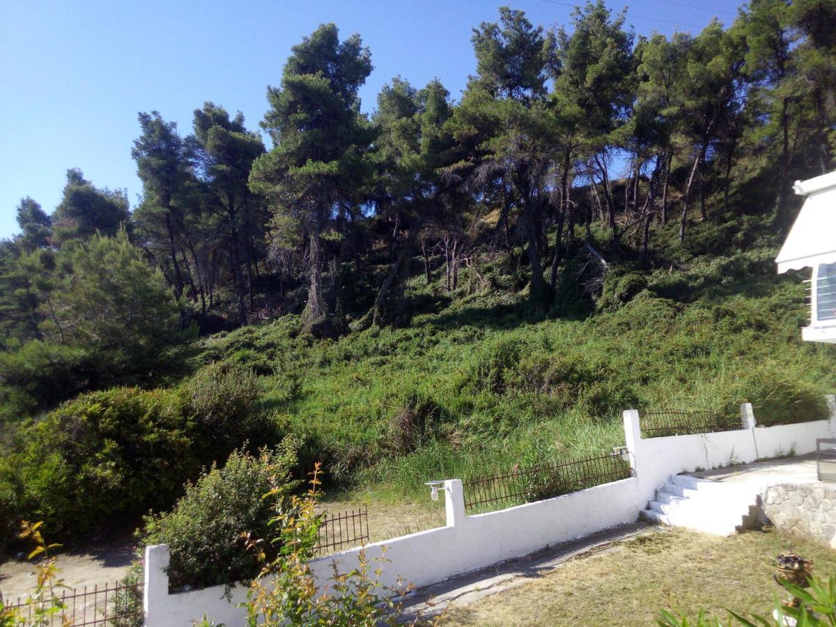 Sea & Forest Kallithea  Luaran gambar