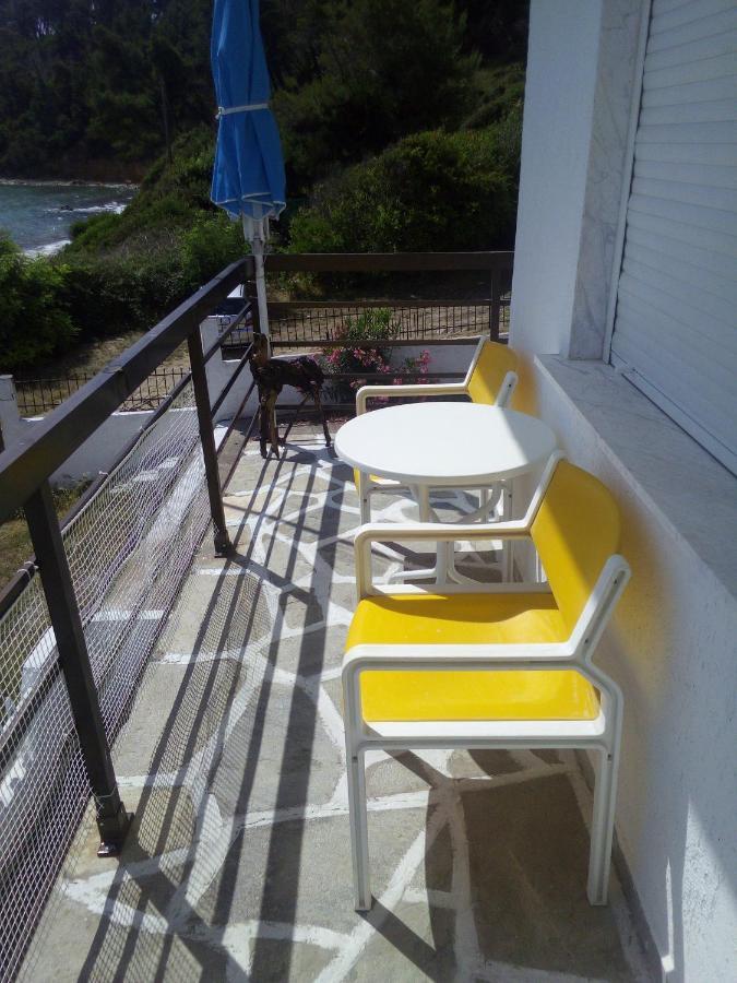 Sea & Forest Kallithea  Luaran gambar
