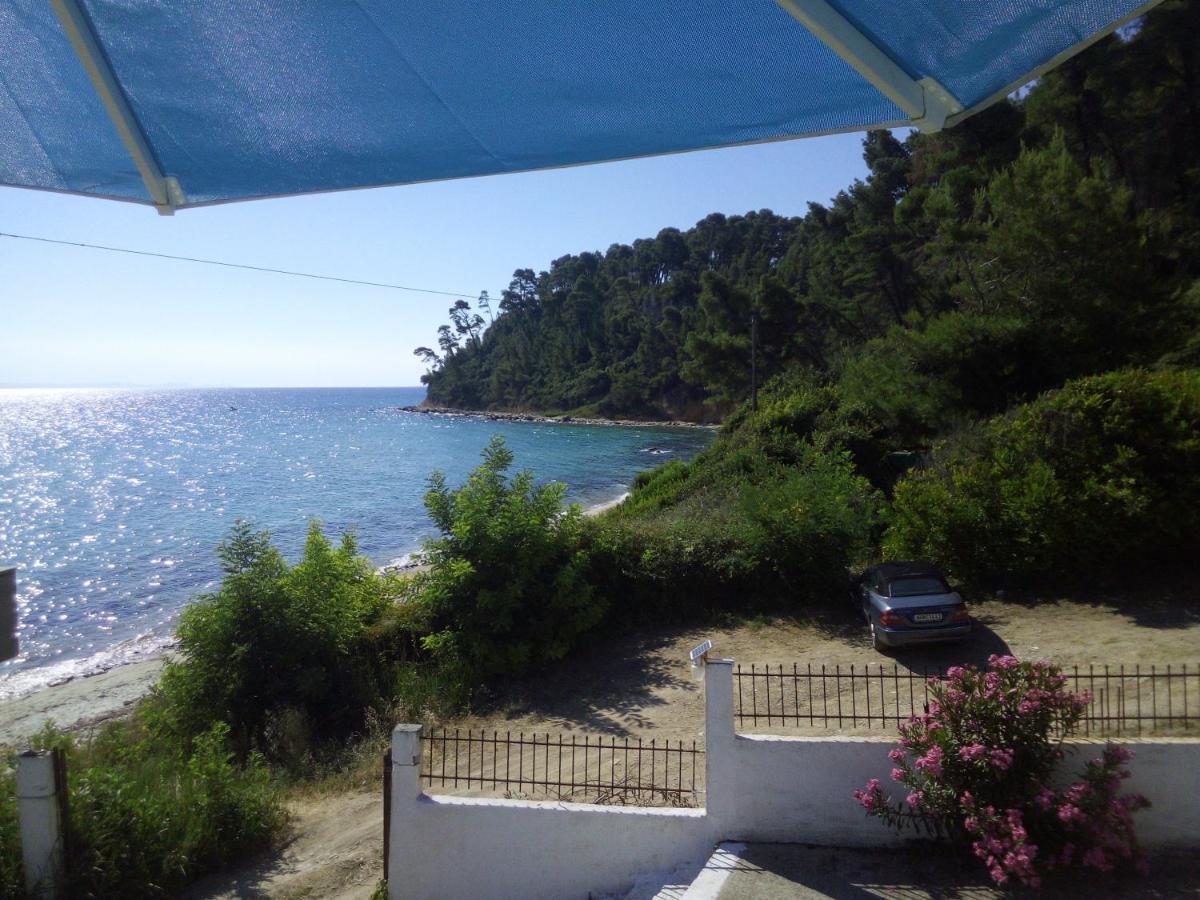 Sea & Forest Kallithea  Luaran gambar