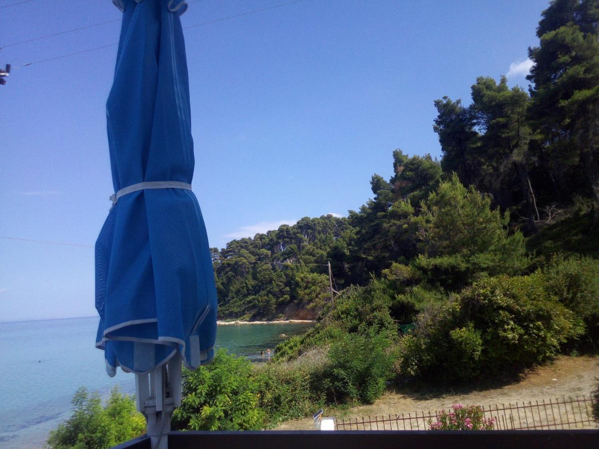 Sea & Forest Kallithea  Luaran gambar