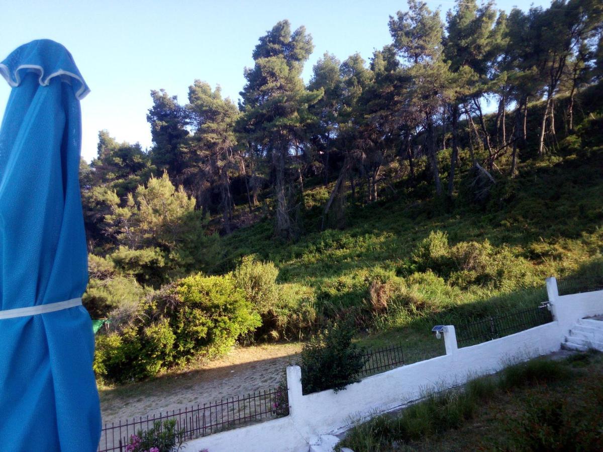 Sea & Forest Kallithea  Luaran gambar