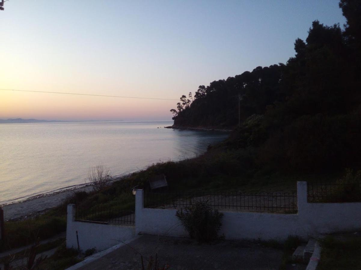 Sea & Forest Kallithea  Luaran gambar
