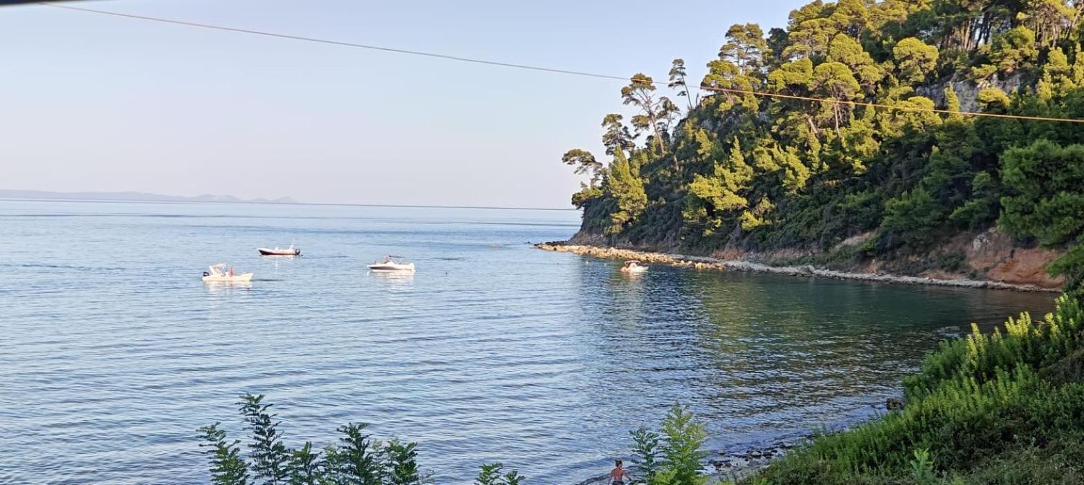 Sea & Forest Kallithea  Luaran gambar