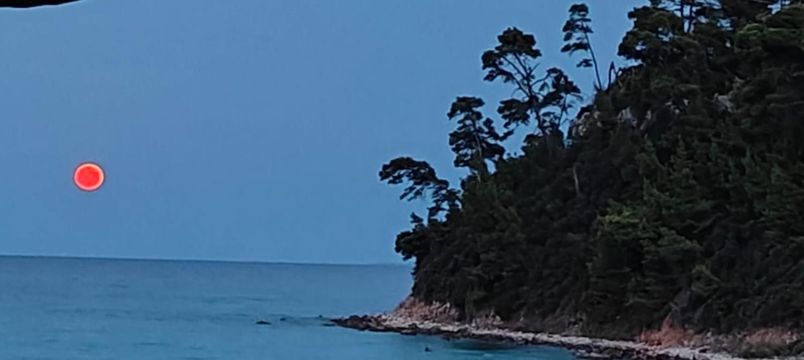 Sea & Forest Kallithea  Luaran gambar