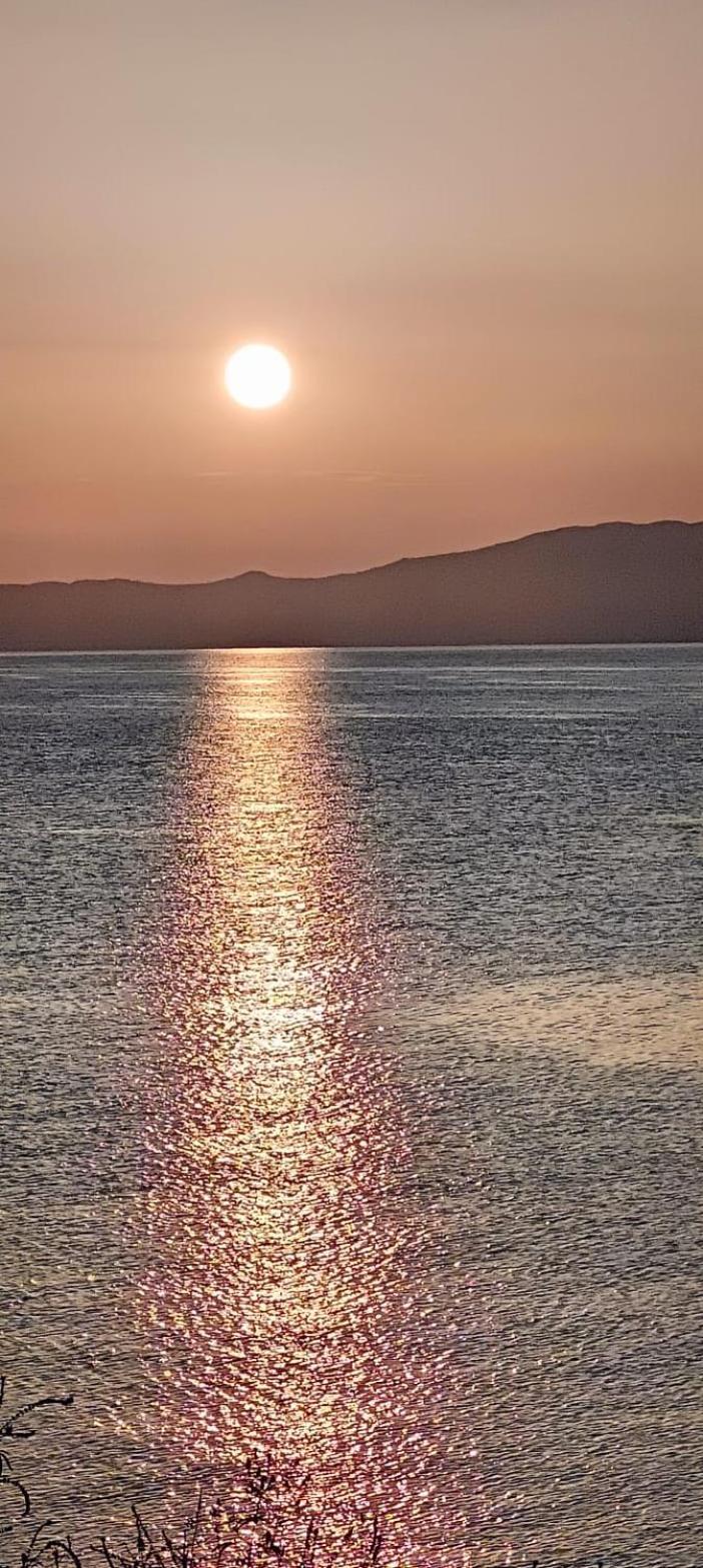 Sea & Forest Kallithea  Luaran gambar